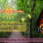 Introducing The New Orleans East Sunshine Weekly Introducing The New Orleans East Sunshine Weekly: Two Months Since Founding, Two Months Until Printing